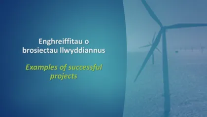 Slide8