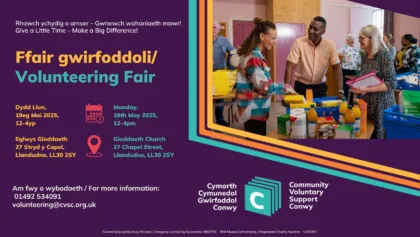 Vol Fair 25
