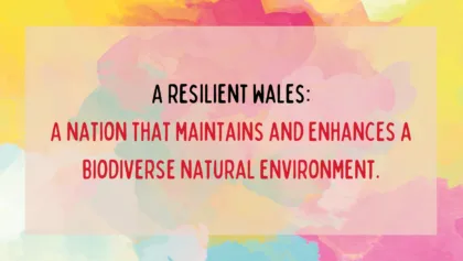 4 A resilient wales