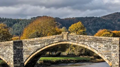 Website banner template