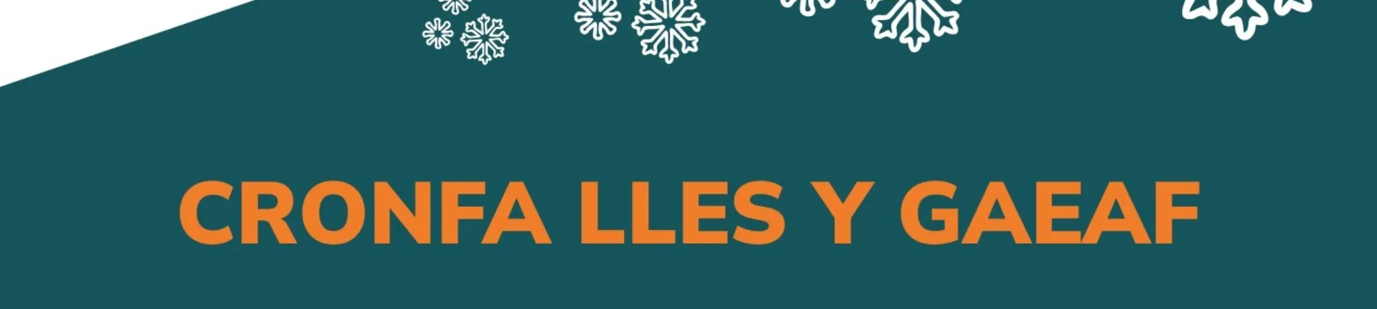 Cronfa Lles y Gaeaf 2025