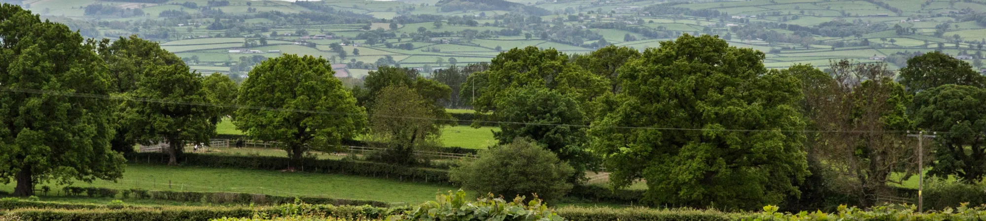 Ynnigwynt MAWR 1059