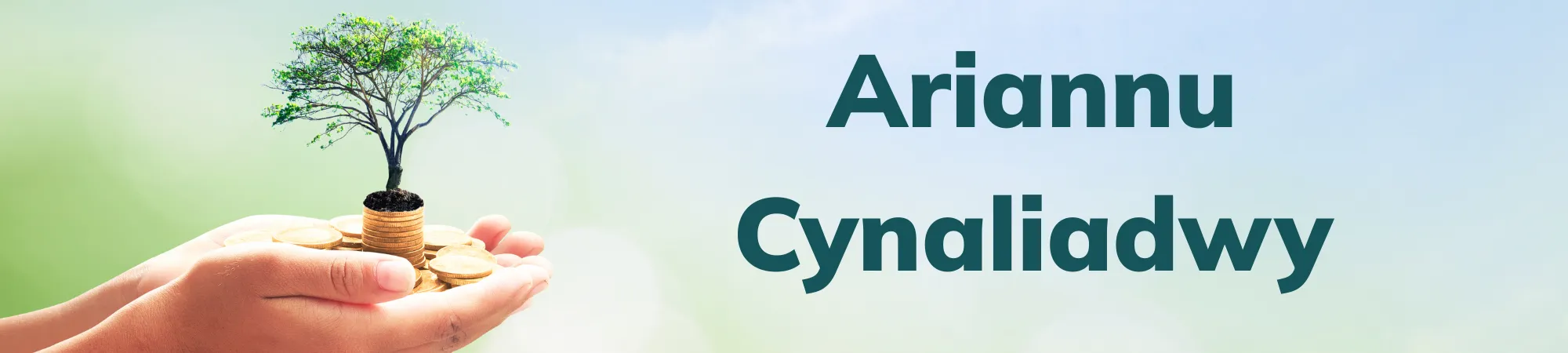 Sustainable Funding Banner w