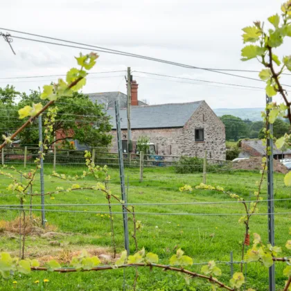 Ynnigwynt MAWR 1061